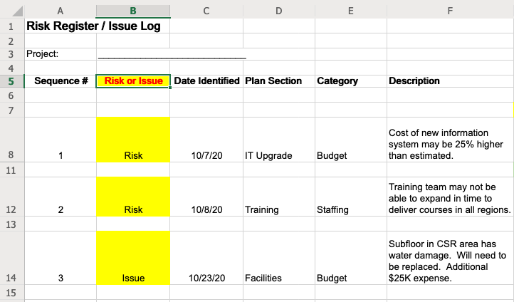A screen shot of the Risk Register / Issue Log
